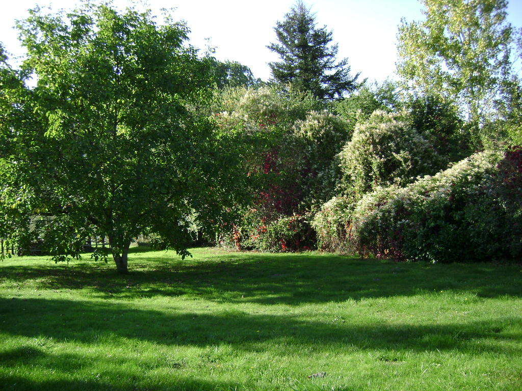 Les Chandelles Bed & Breakfast Villiers-le-Morhier 외부 사진